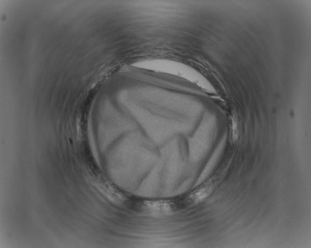 X0000067360520200604281728