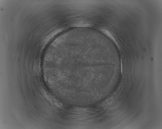 X0000067360531200604281727