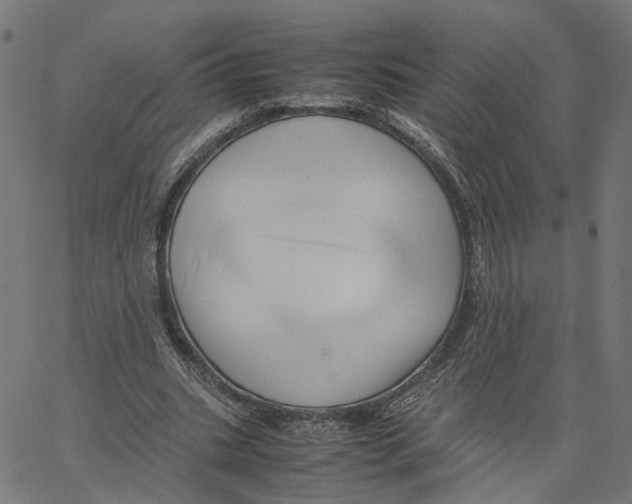 X0000067360535200604281727