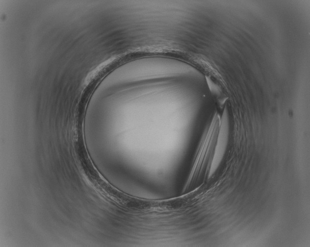 X0000067360536200604281727