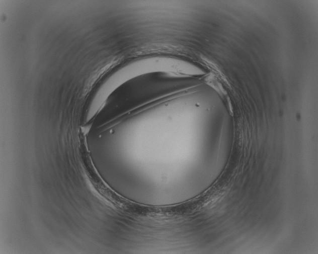 X0000067360538200604281727