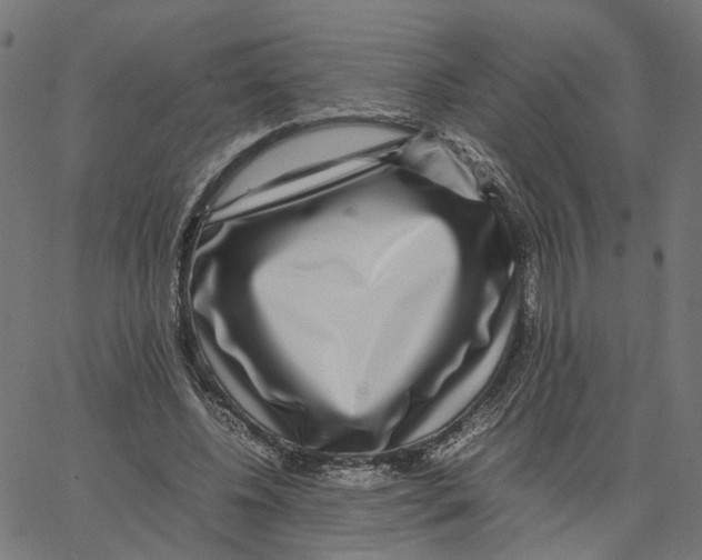 X0000067360540200604281728