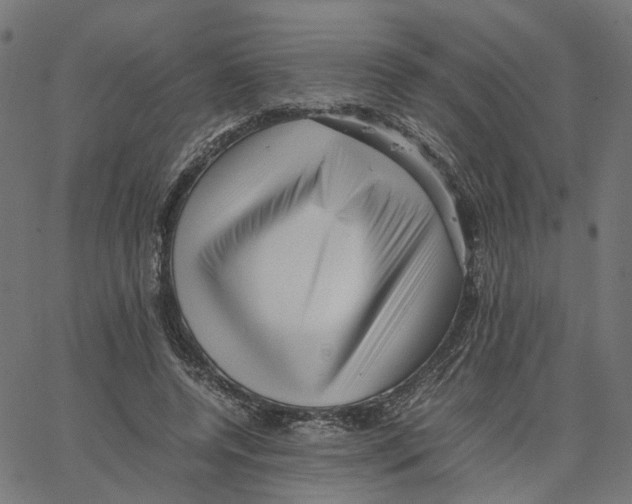 X0000067360544200604281728