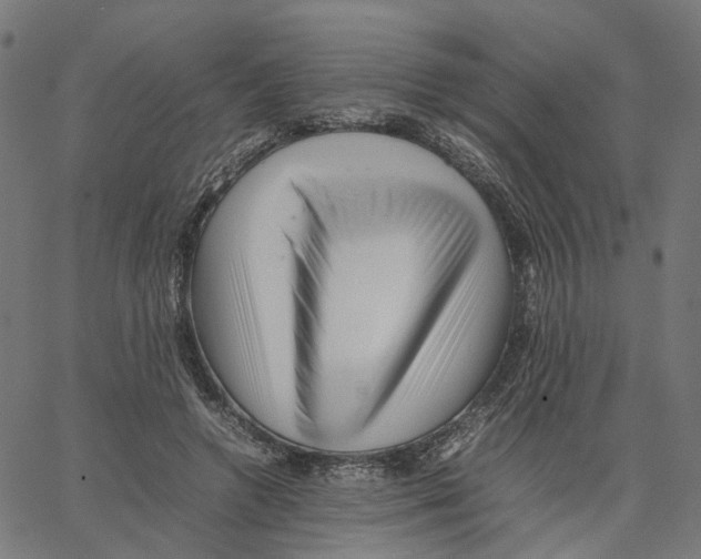 X0000067360546200604281728