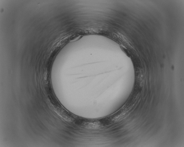 X0000067360548200604281728