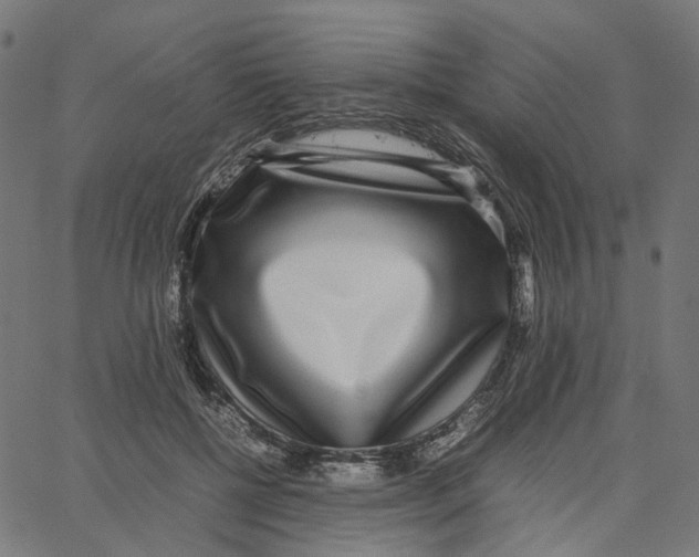 X0000067360552200604281728