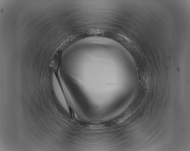 X0000067360556200604281728