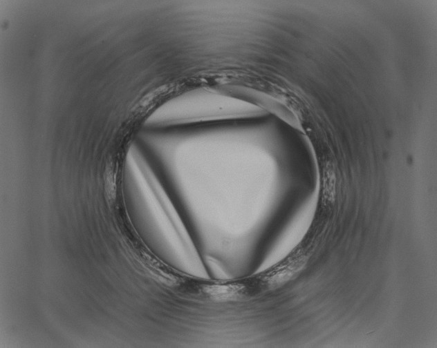 X0000067360558200604281728