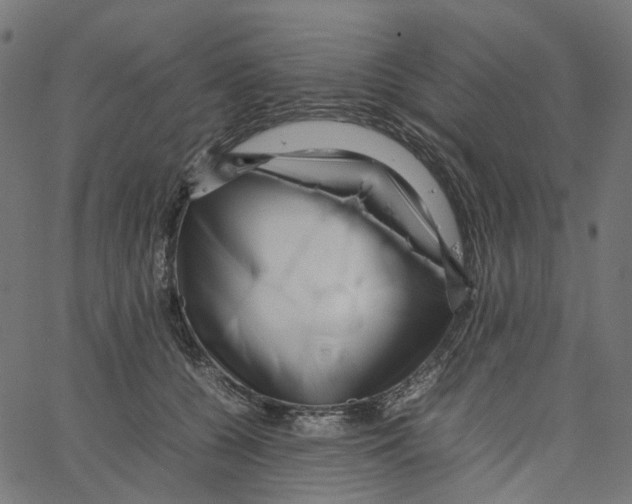 X0000067360560200604281728