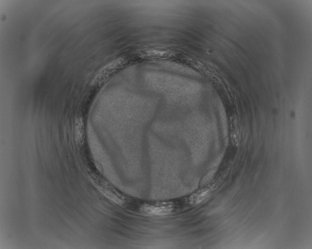 X0000067360563200604281728