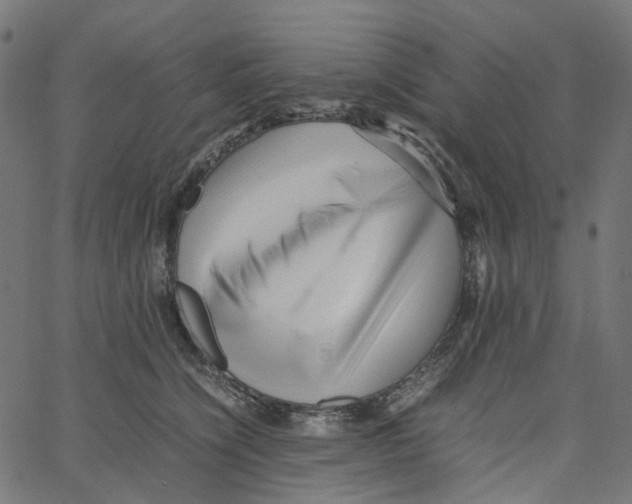 X0000067360564200604281728