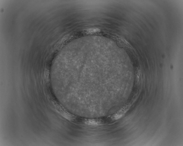 X0000067360565200604281728