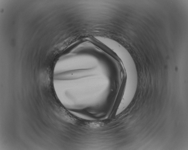 X0000067360566200604281728