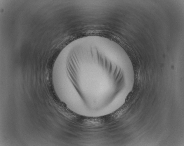 X0000067360567200604281728
