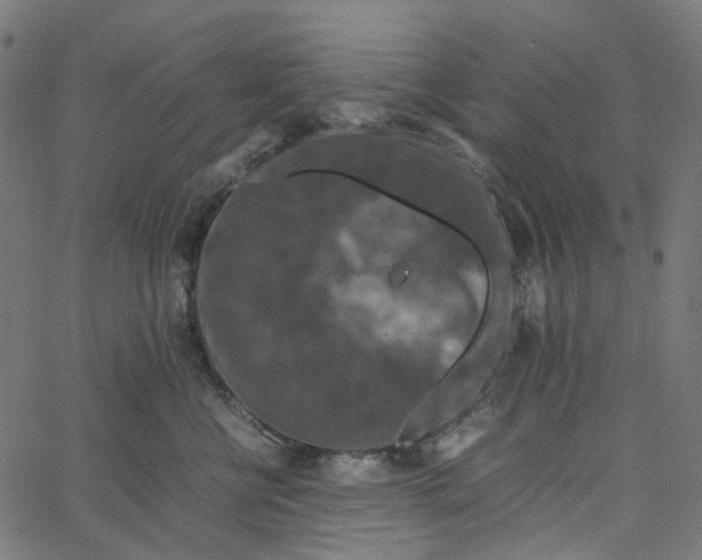 X0000067360570200604281728