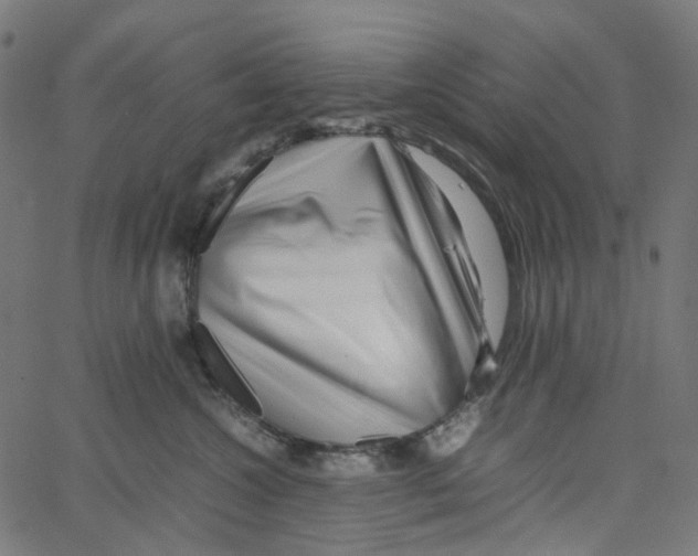 X0000067360572200604281728