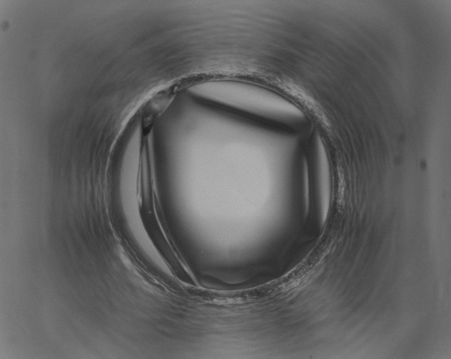 X0000067360580200604281727
