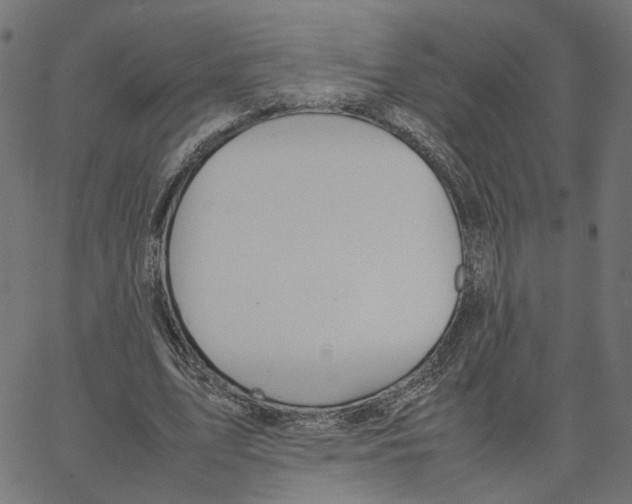 X0000067360583200604281727