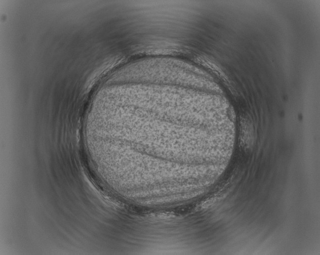 X0000067360586200604281727