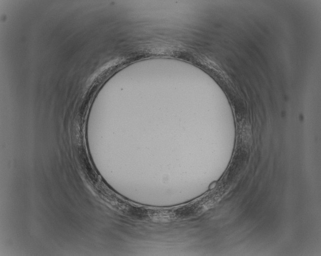 X0000067360587200604281727