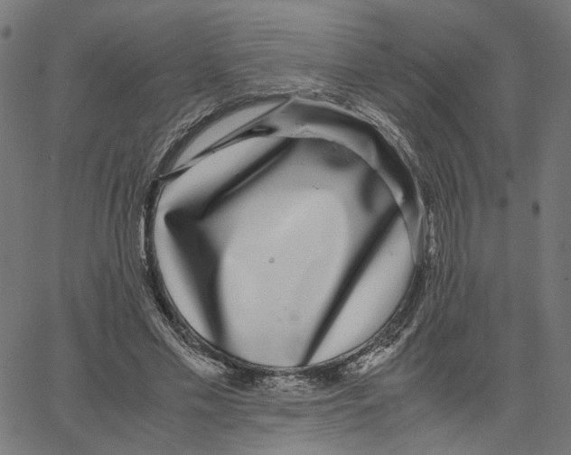X0000067360589200604281727