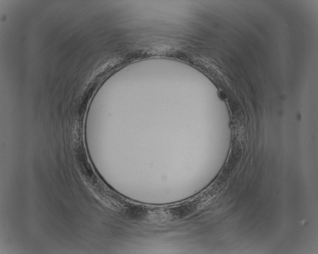 X0000067360591200604281727