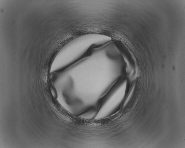 X0000067360593200604281727