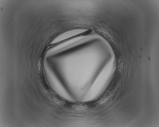 X0000067360597200604281727