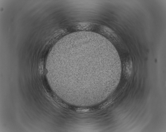X0000067360602200604281727