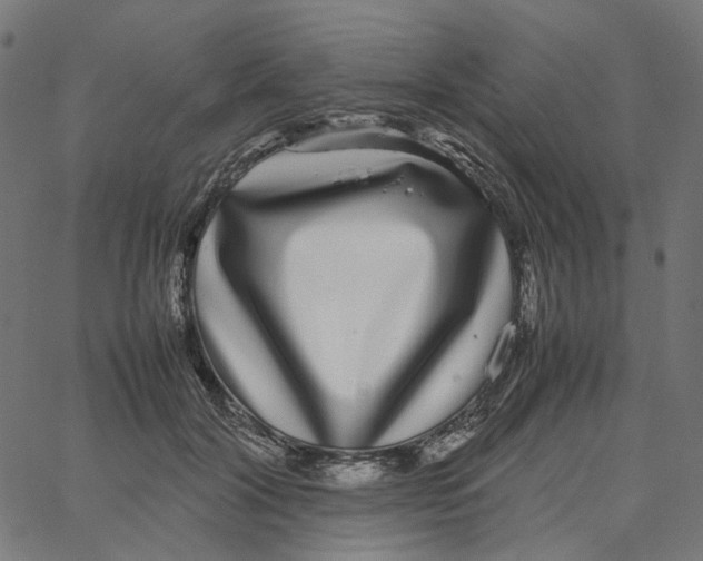 X0000067360604200604281727