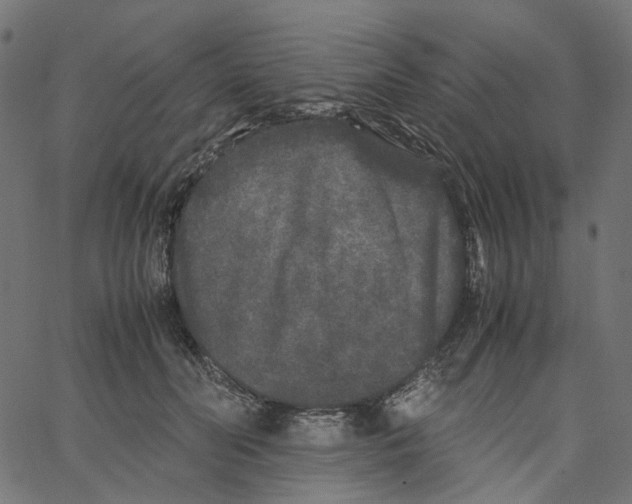 X0000067360606200604281727