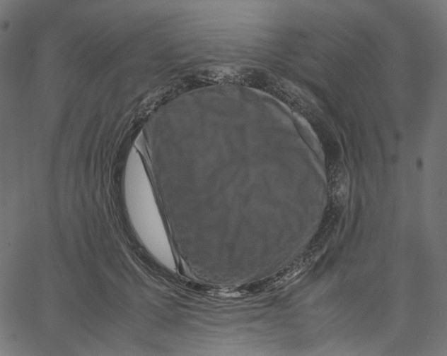 X0000067360607200604281727