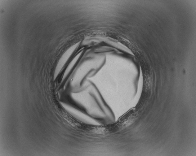 X0000067360609200604281727