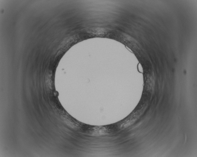 X0000067360612200604281727