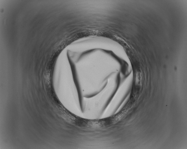 X0000067360613200604281727