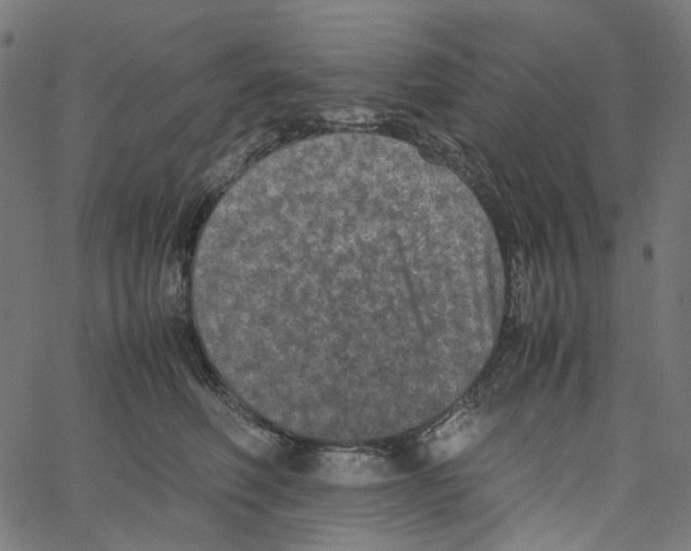 X0000067360614200604281727