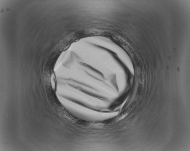 X0000067360617200604281727