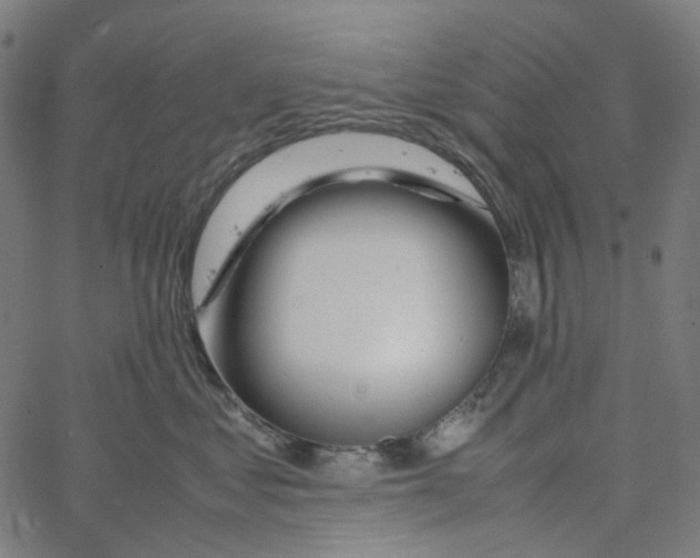 X0000067360621200604281727