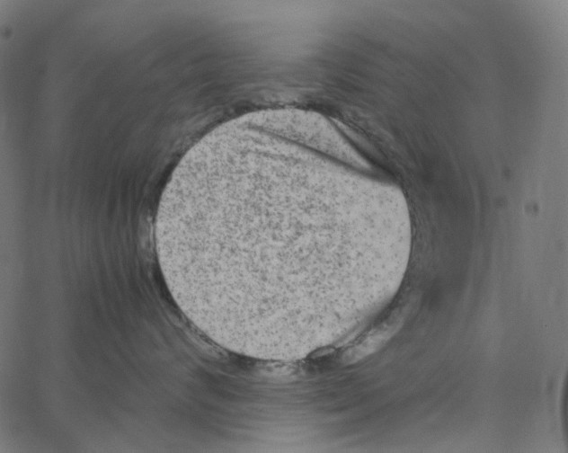 X0000067360624200604281727