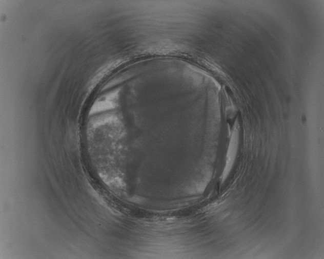 X0000067360626200604281726