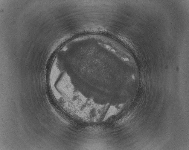 X0000067360630200604281726