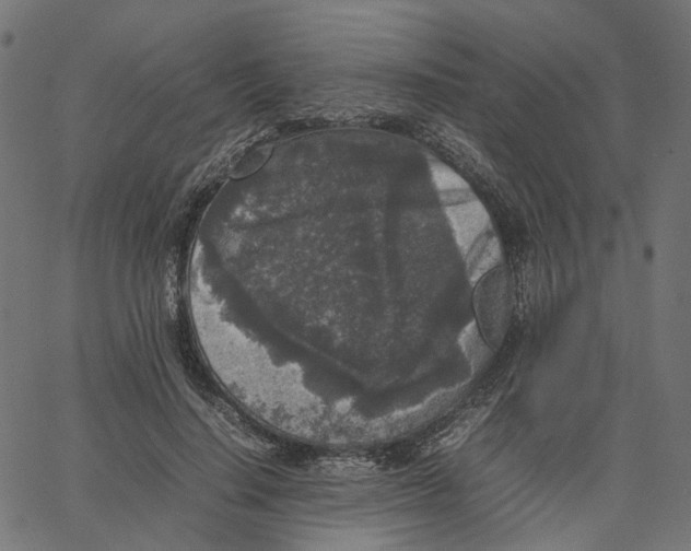 X0000067360644200604281726