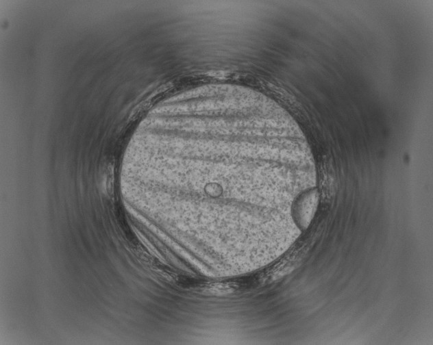 X0000067360656200604281726