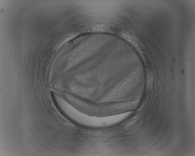 X0000067360673200604281726
