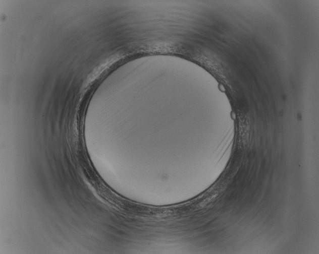 X0000067360674200604281726