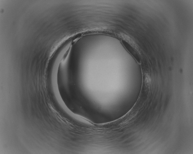 X0000067360676200604281726