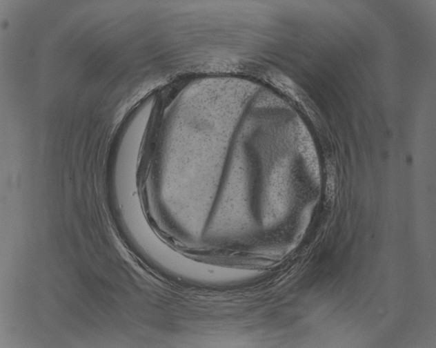 X0000067360677200604281726