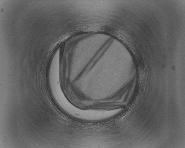 X0000067360681200604281726