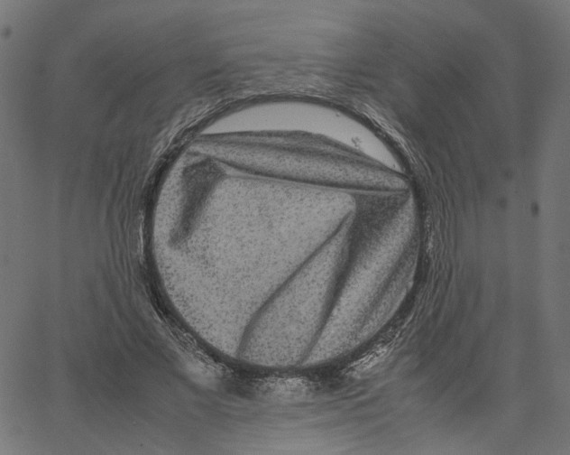 X0000067360685200604281726