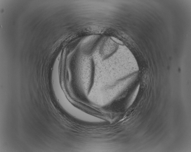 X0000067360693200604281725